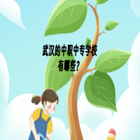 武漢中職中專學(xué)校有哪些？