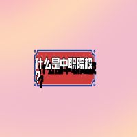 什么是中職院校？