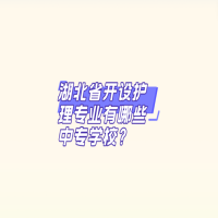 湖北省開設護理專業(yè)有哪些中專學校？