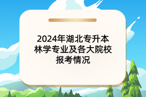 2024年湖北專升本林學(xué)專業(yè)及各大院校報(bào)考情況