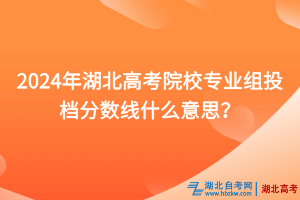 2024年湖北高考院校專(zhuān)業(yè)組投檔分?jǐn)?shù)線(xiàn)什么意思？