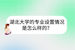 湖北大學(xué)的專業(yè)設(shè)置情況是怎么樣的？
