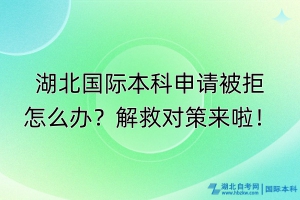 湖北國際本科申請被拒怎么辦？解救對策來啦！