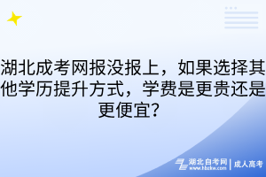 湖北成考網(wǎng)報沒報上，如果選擇其他學歷提升方式，學費是更貴還是更便宜？