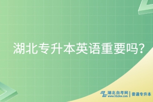 湖北專升本英語重要嗎？