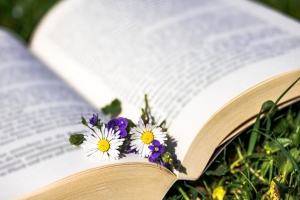 2016年漢口學(xué)院專升本電子商務(wù)專業(yè)錄取分?jǐn)?shù)線