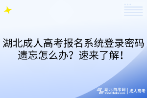 湖北成人高考報(bào)名系統(tǒng)登錄密碼遺忘怎么辦？速來了解！