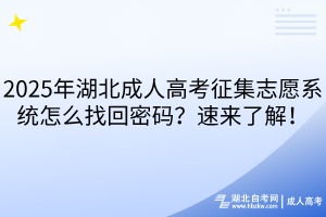 2025年湖北成人高考征集志愿系統(tǒng)怎么找回密碼？速來了解！