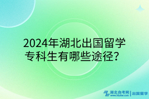 2024年湖北出國留學(xué)專科生有哪些途徑？