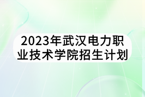 2023年武漢電力職業(yè)技術學院招生計劃