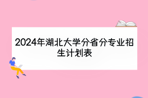 2024年湖北大學分省分專業(yè)招生計劃表
