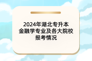 2024年湖北專升本金融學專業(yè)及各大院校報考情況