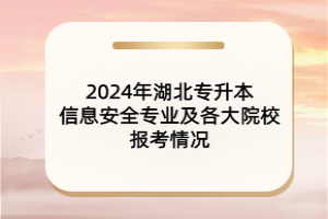 2024年湖北專升本信息安全專業(yè)及各大院校報(bào)考情況