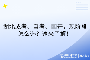 湖北成考、自考、國(guó)開(kāi)，現(xiàn)階段怎么選？速來(lái)了解！