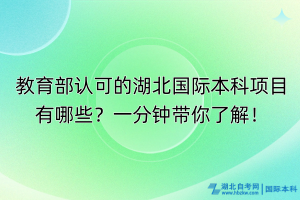 教育部認可的湖北國際本科項目有哪些？一分鐘帶你了解！