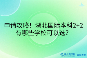 申請攻略！湖北國際本科2+2有哪些學校可以選？