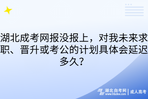 湖北成考網(wǎng)報沒報上，對我未來求職、晉升或考公的計劃具體會延遲多久？