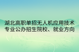 湖北高職單招無人機應(yīng)用技術(shù)專業(yè)公辦招生院校、就業(yè)方向