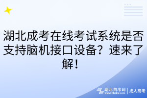 湖北成考在線考試系統(tǒng)是否支持腦機接口設備？速來了解！