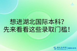 想進湖北國際本科？先來看看這些錄取門檻！