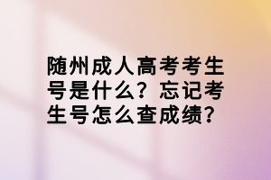 隨州成人高考考生號是什么?忘記考生號怎么查成績? 隨州成人高考考生號是什么?忘記考生號怎么查成績?