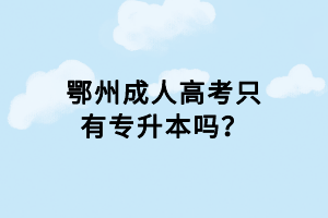 鄂州成人高考只有專升本嗎? 鄂州成人高考只有專升本嗎?