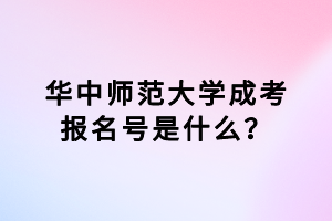 華中師范大學(xué)成考報(bào)名號(hào)是什么？