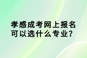 孝感成考網(wǎng)上報名可以選什么專業(yè)? 孝感成考網(wǎng)上報名可以選什么專業(yè)?