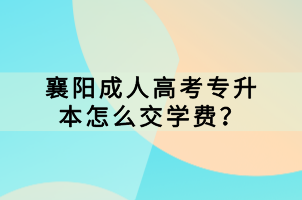 襄陽成人高考專升本怎么交學費? 襄陽成人高考專升本怎么交學費?