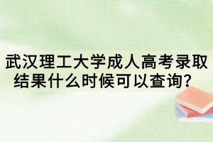 武漢理工大學(xué)成人高考錄取結(jié)果什么時候可以查詢？