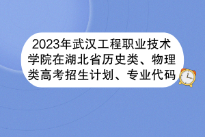 2023年武漢工程職業(yè)技術(shù)學(xué)院在湖北省歷史類、物理類高考招生計劃、專業(yè)代碼