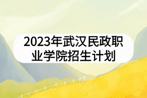 2023年武漢民政職業(yè)學(xué)院招生計劃