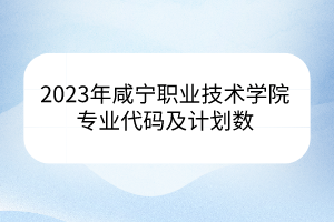 2023年咸寧職業(yè)技術學院專業(yè)代碼及計劃數(shù) 2023年咸寧職業(yè)技術學院專業(yè)代碼及計劃數(shù)