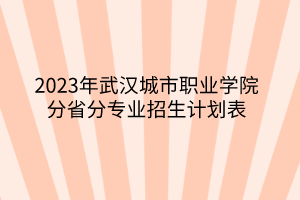 2023年武漢城市職業(yè)學(xué)院分省分專業(yè)招生計劃表 2023年武漢城市職業(yè)學(xué)院分省分專業(yè)招生計劃表