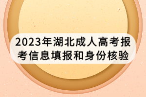 2023年湖北成人高考報(bào)考信息填報(bào)和身份核驗(yàn) 2023年湖北成人高考報(bào)考信息填報(bào)和身份核驗(yàn)