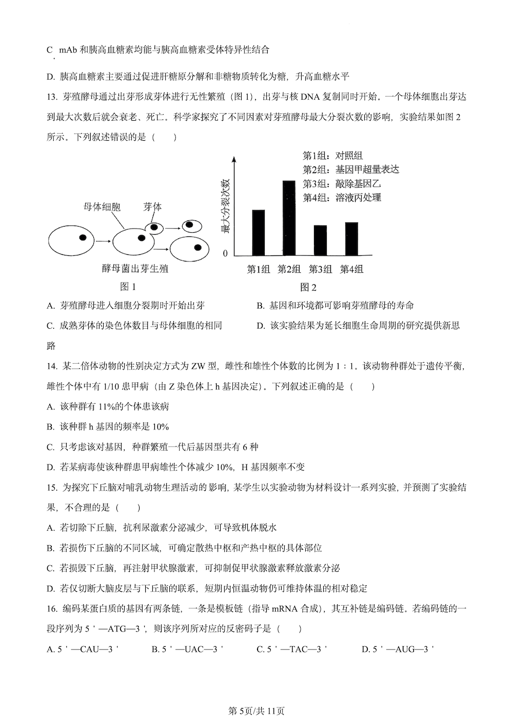 2024湖北高考生物真題 (5)