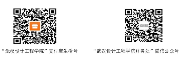 武漢設計工程學院 武漢設計工程學院