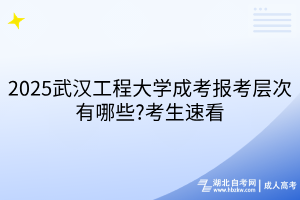 默認(rèn)標(biāo)題__2025-03-26+10_58_49