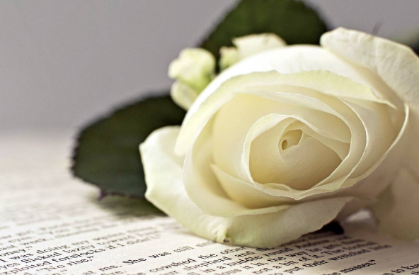 湖北成人高考高起專數(shù)學(xué)答題經(jīng)驗(yàn)技巧分享