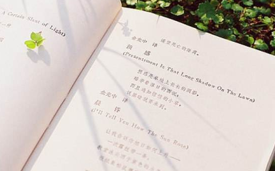 成人高考專升本藝術(shù)概論常考知識點歸納2：藝術(shù)鑒賞