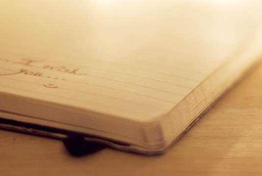 2020年湖北成人高考專升本生態(tài)學基礎模擬試題及答案七