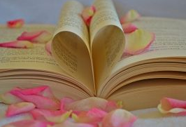 武漢科技大學成考畢業(yè)證丟失怎么辦？