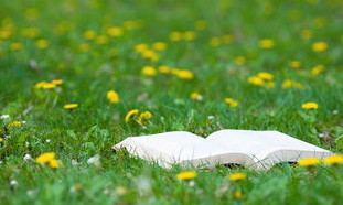 2020年成人高考高起點(diǎn)語(yǔ)文模擬試題練習(xí)及答案9