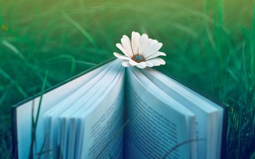 湖北成人高考怎么才能考高分?