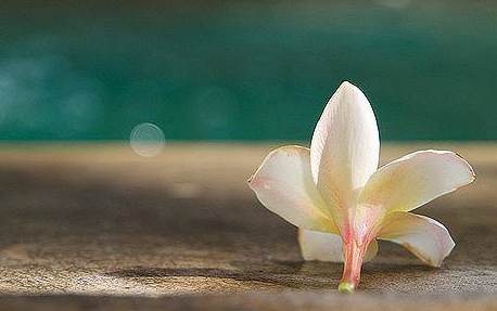 湖北成人高考自學可以通過考試嗎？