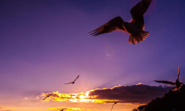 2020年成人高考高起點(diǎn)數(shù)學(xué)文難點(diǎn)講解2