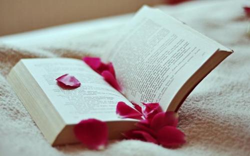 湖北專升本跨專業(yè)報考有什么限制?