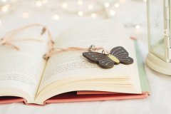 2020年吉林省普通專升本考試時間已確定:推遲至8月16日