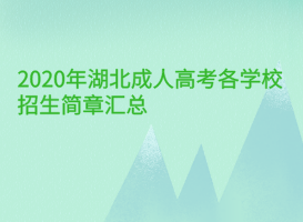 2020年湖北成人高考各學校招生簡章匯總
