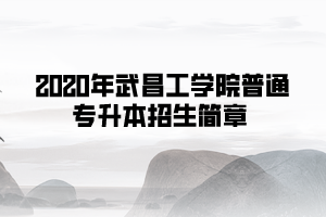 2020年武昌工學(xué)院普通專升本招生簡章
